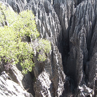 tsingy7